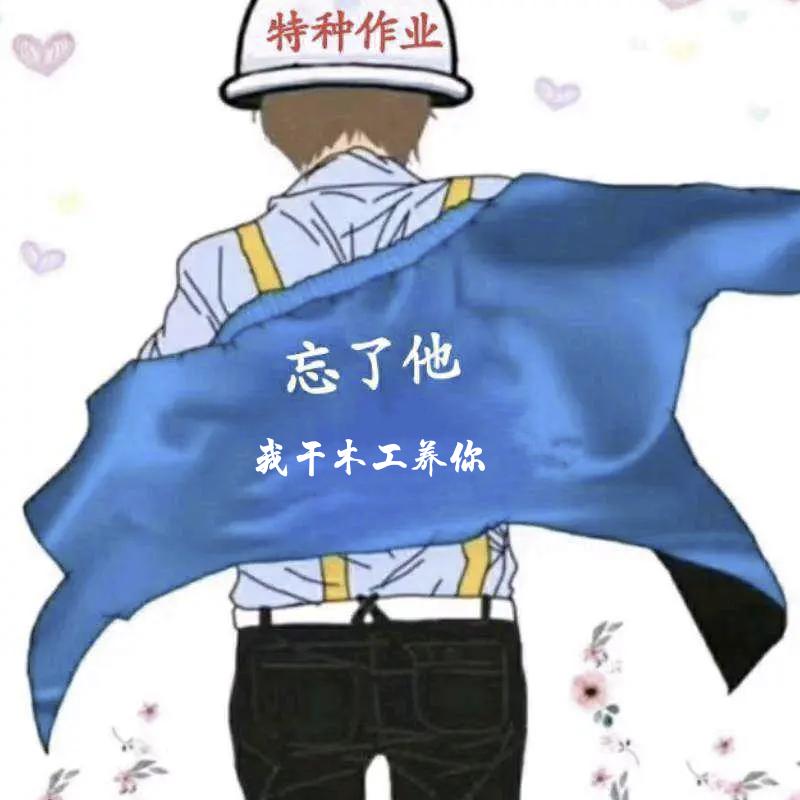 专业主体支模