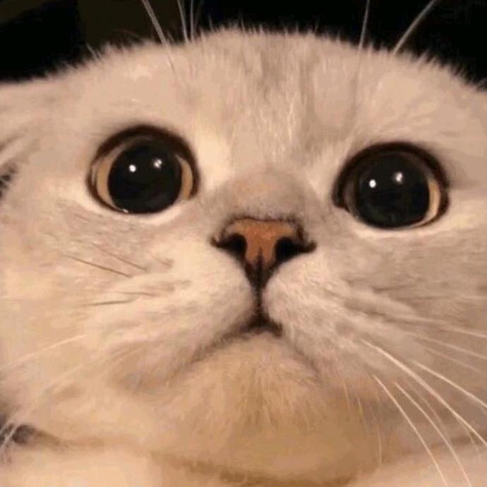 。。