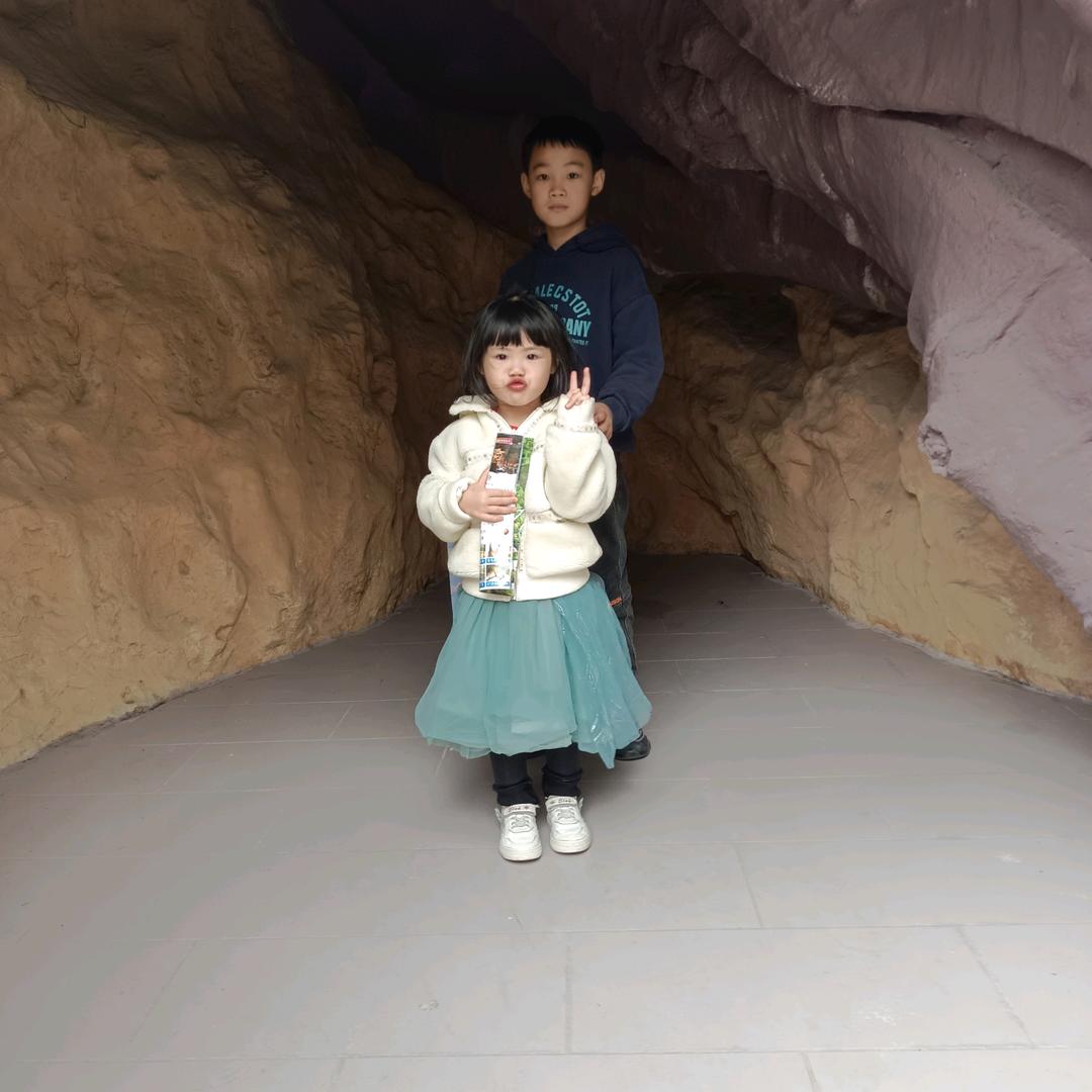 大丁小丁