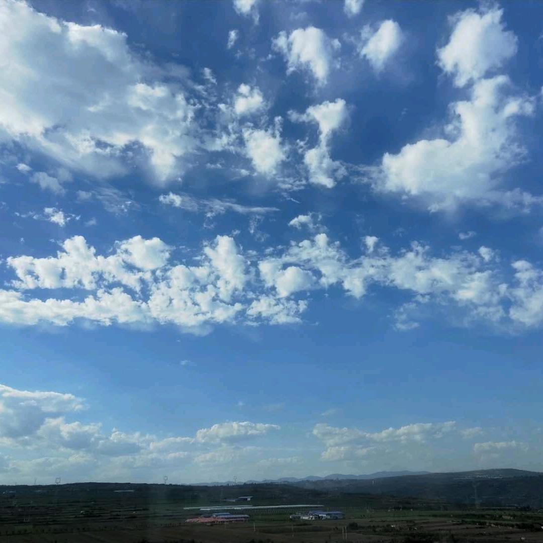 心叶