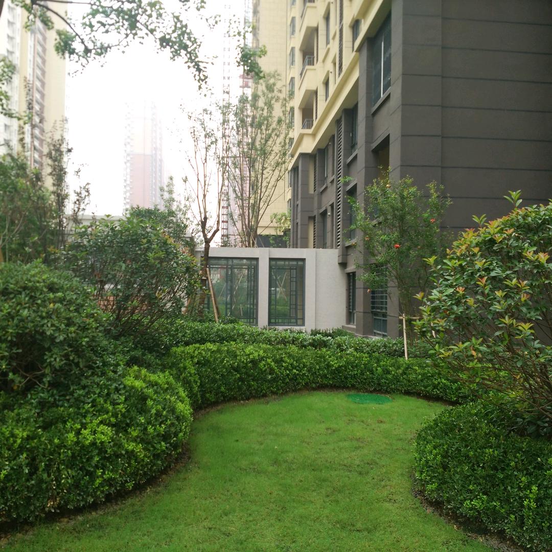 专业铺地砖石材