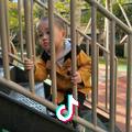辉哥啊