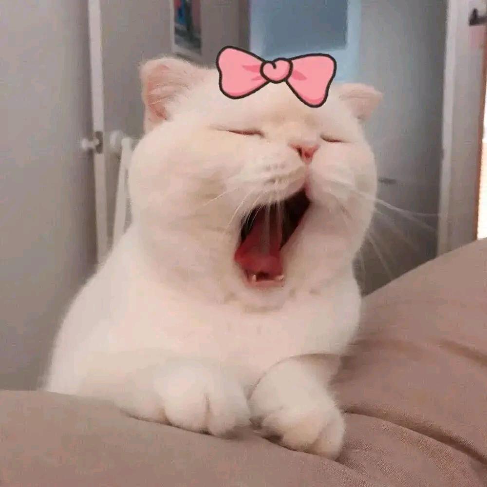 嘟嘟嘟