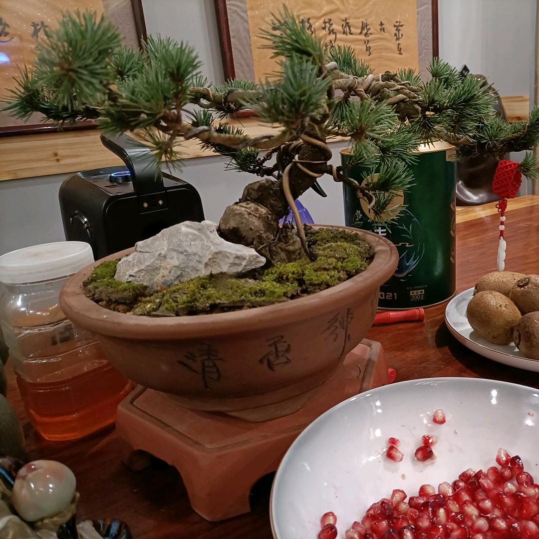 牛子