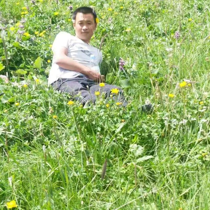 小向修理店和修车和卖/电动车和养羊，单1
