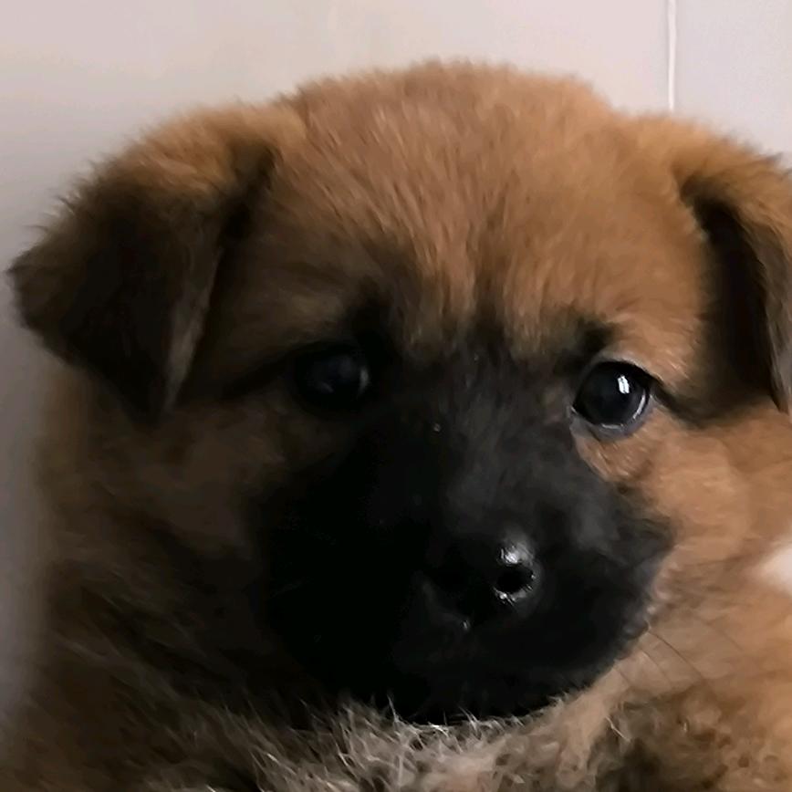 万物皆可能