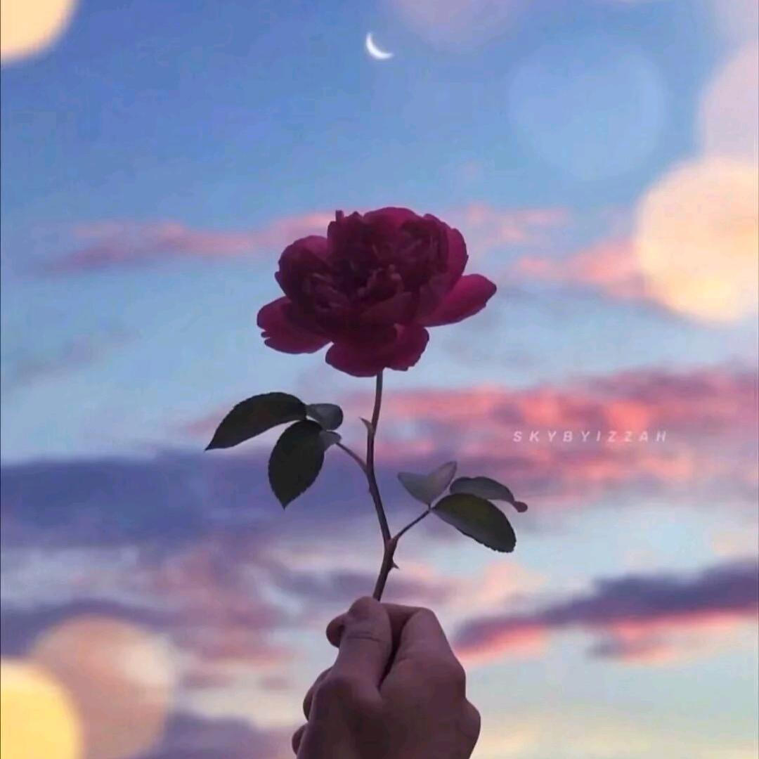 🌈没那么《简单》