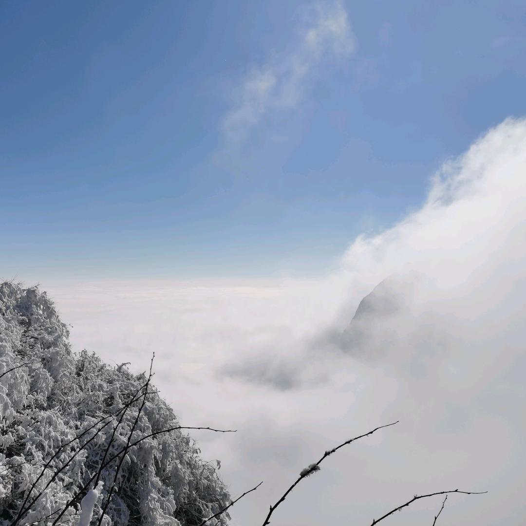 他山一石
