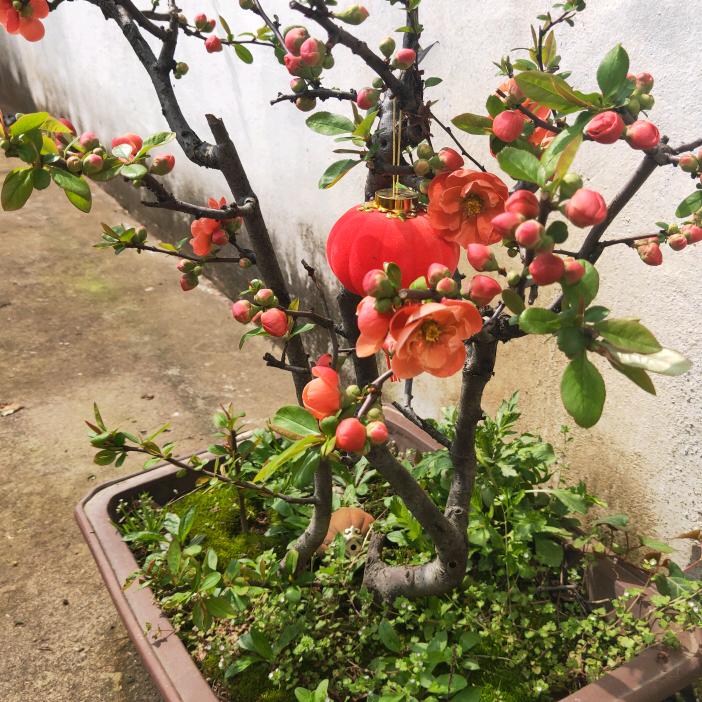 许哥(手机摄影)