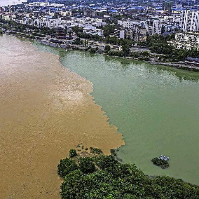 灿烂阳光(七月)