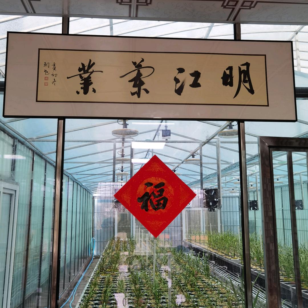 明江兰业