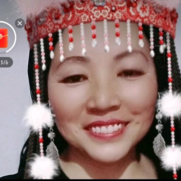 一 枝梅