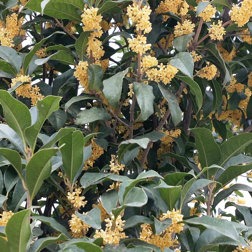 面向未来