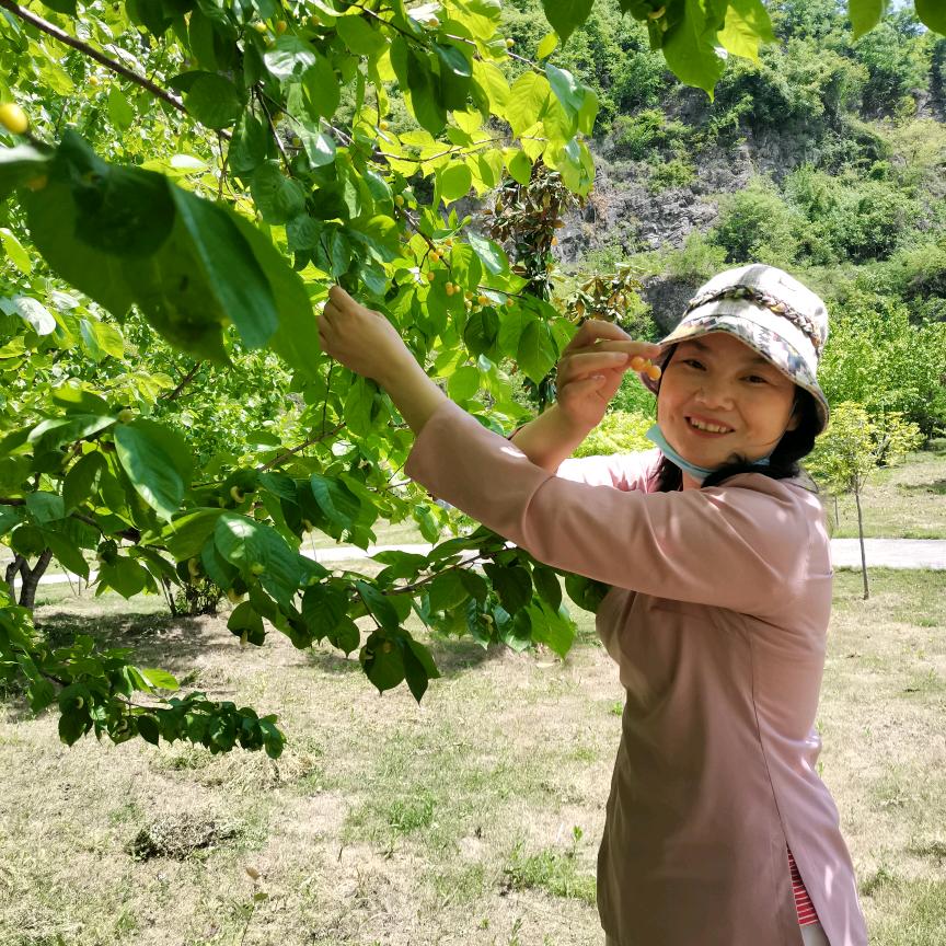 武当山新旅界旅行社