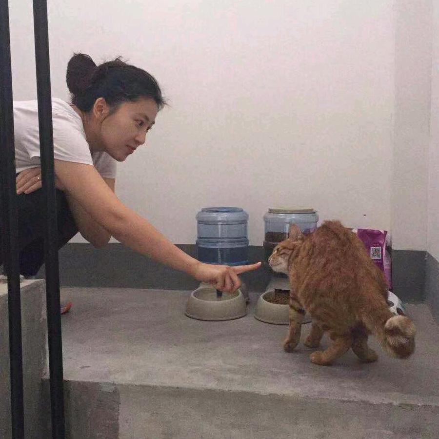 一只幸运的番茄头像