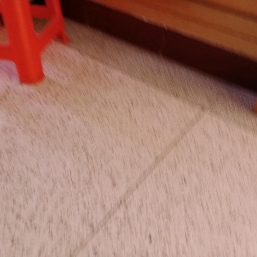 宝宝