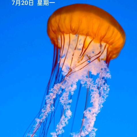 甜