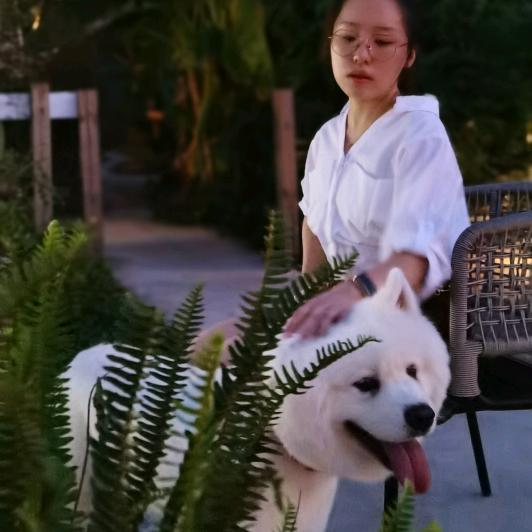 渴望变成吃货的张小夕