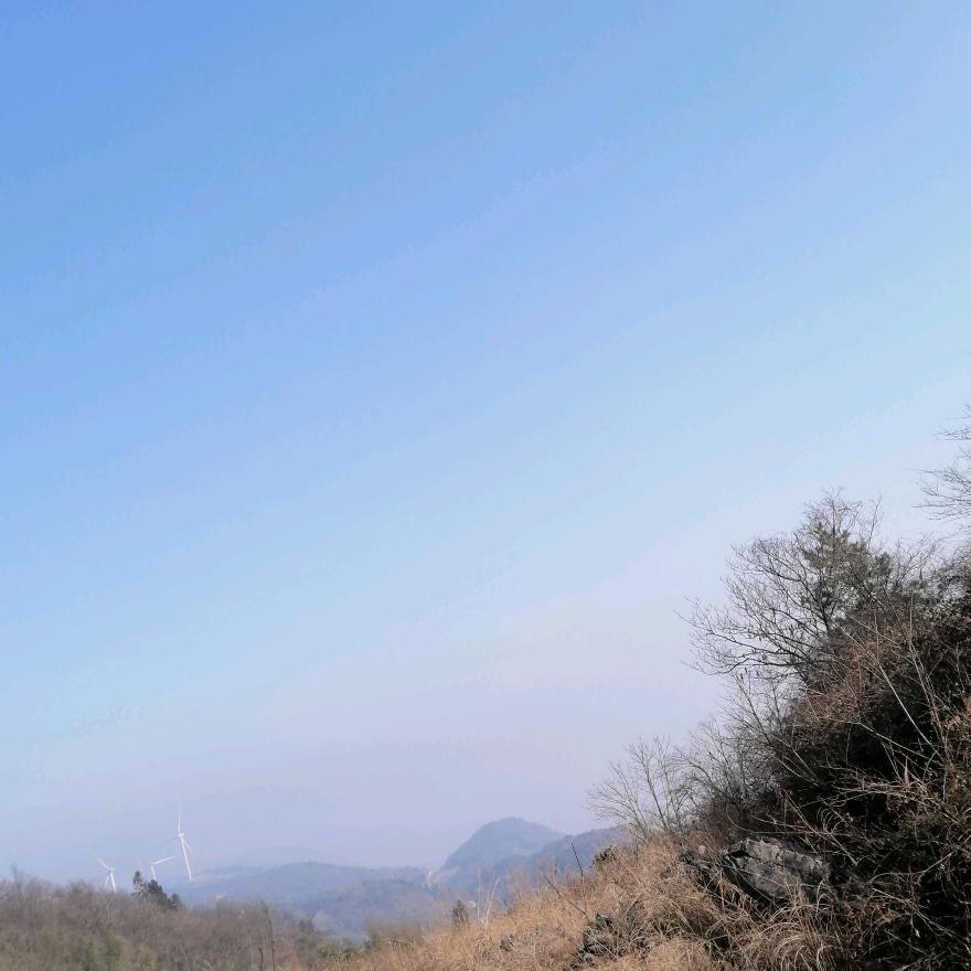 玉米
