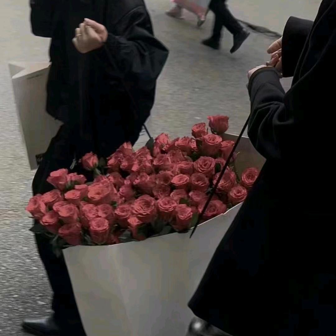 👑杨👋摘 ✨陈