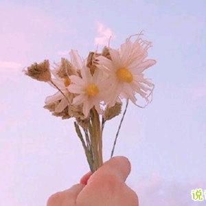 桓仁瑄瑄民宿🌺大婷子💋