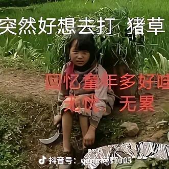 农村哥：朱