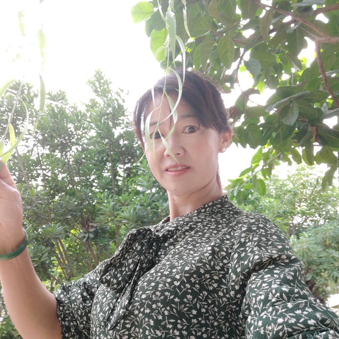 鲁