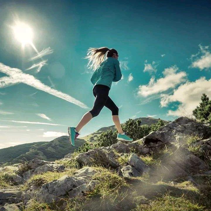 王易  青展工程