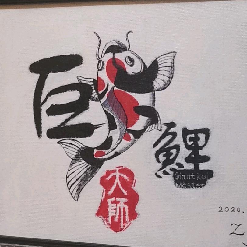 巨鲤大师优品锦鲤