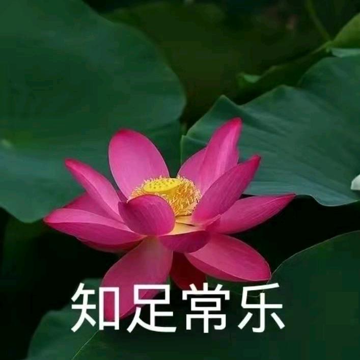 金姐👿