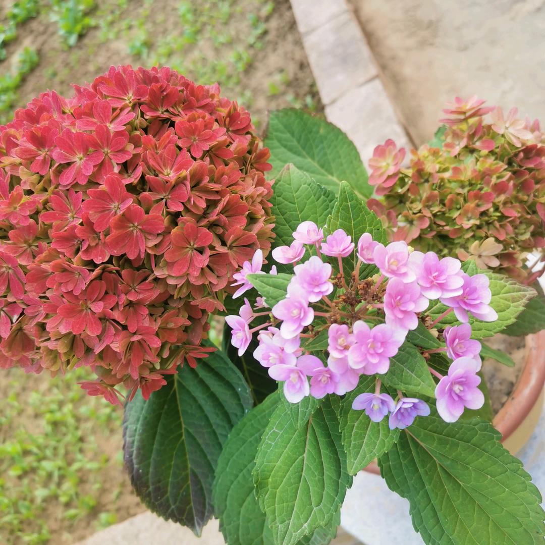 生活时光9391157734295