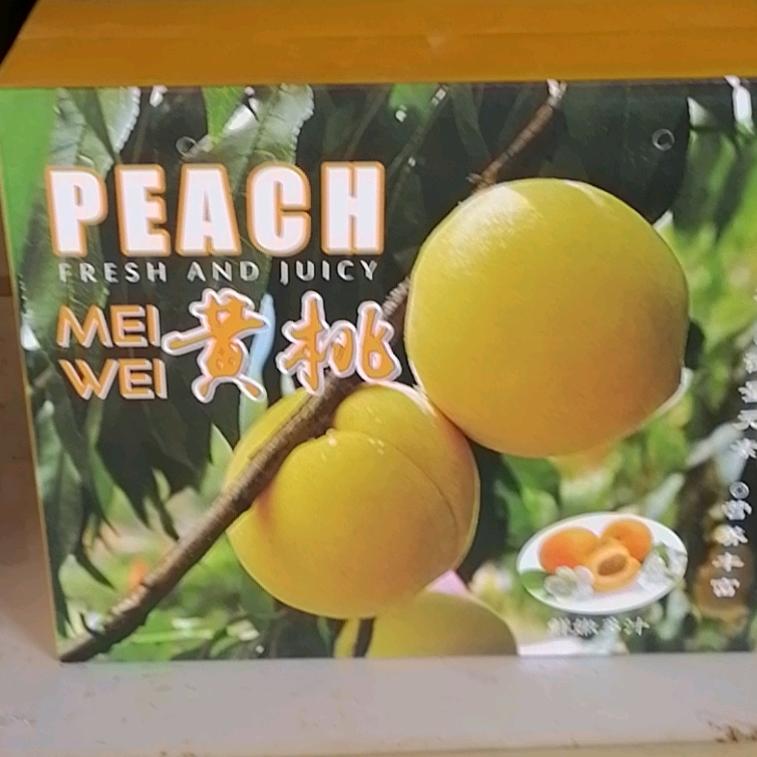 临澧县胡菊家庭农场