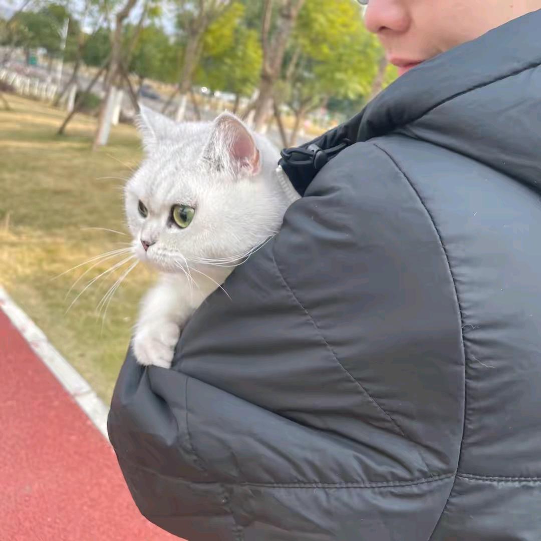 涂铝