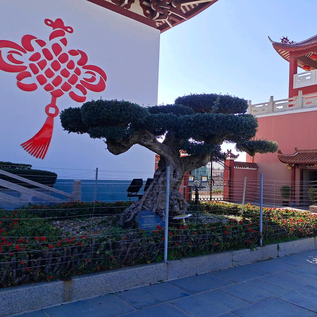远东