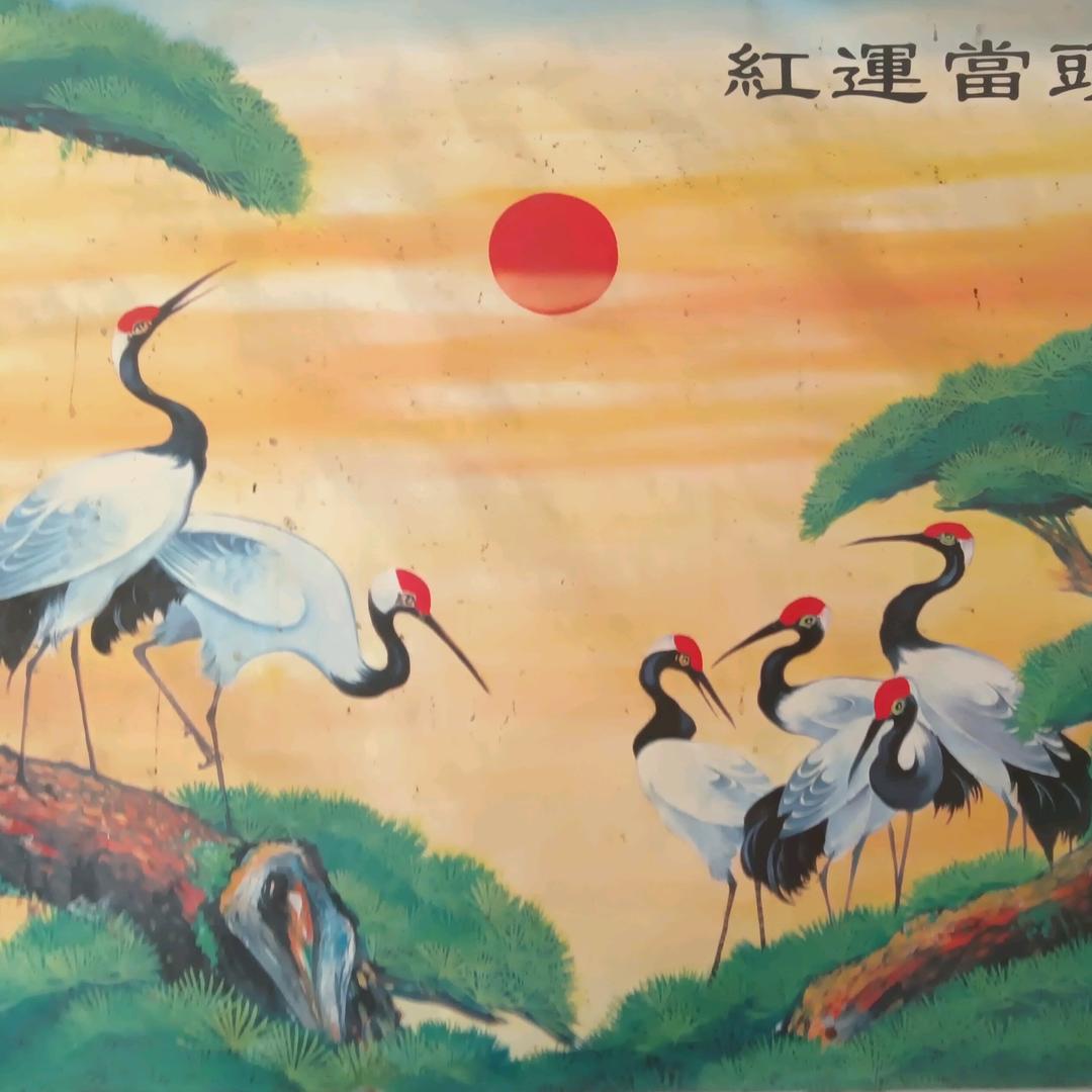 小霞爱生活日常记录