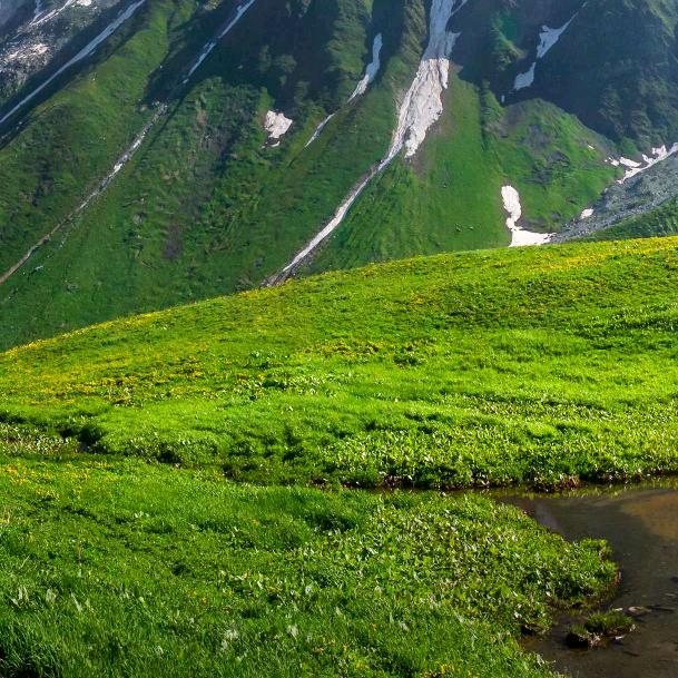 世界历史根因分析