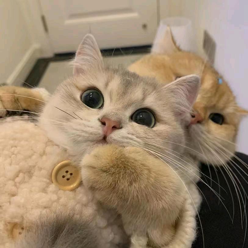 来财