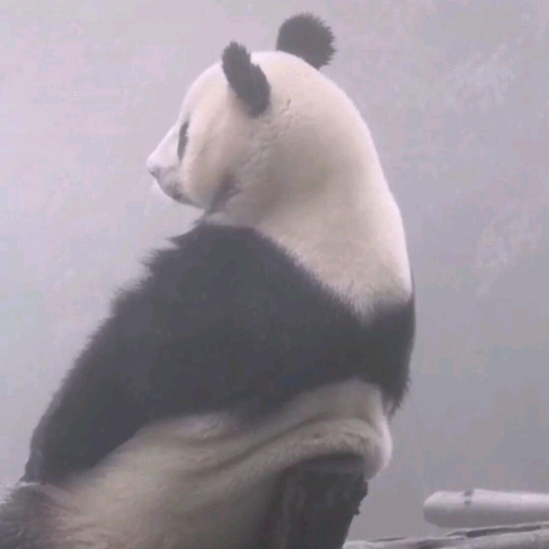 唯心也
