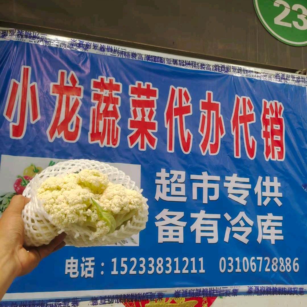 邯郸小龙蔬菜代收代卖