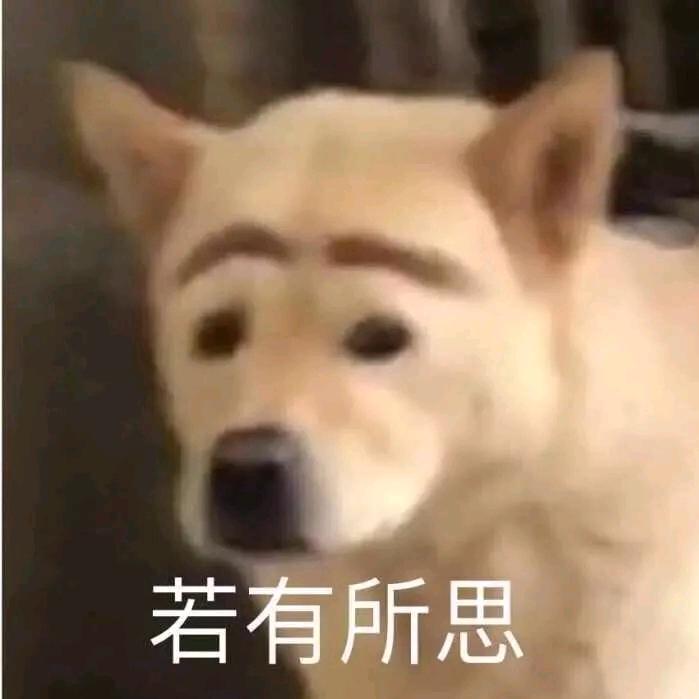 高玩