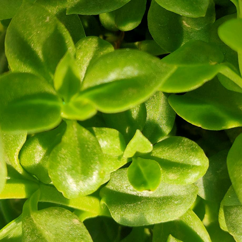 一切～顺其自然