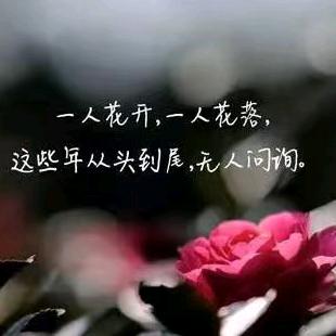 木易꧔এ᭄ꦿ꯭ 杨꧔ꦿএ᭄