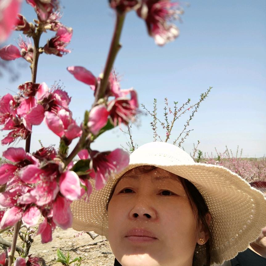 踏雪寻梅