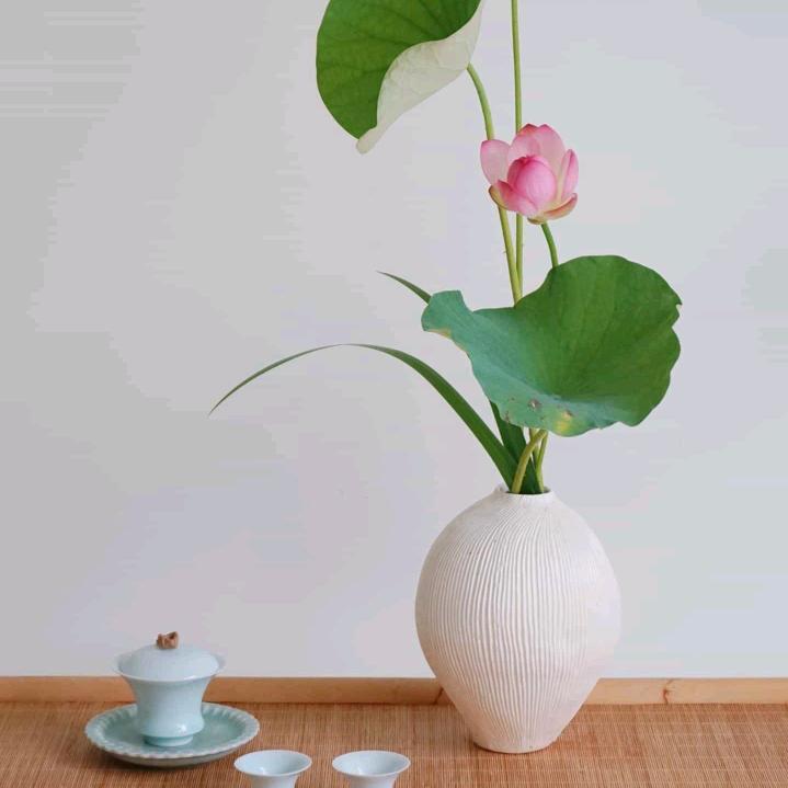 王美丽（可私聊）