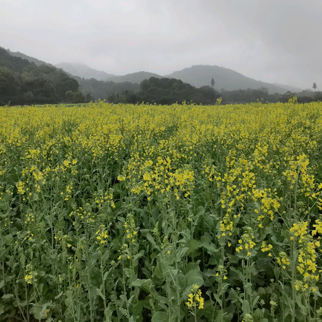 壹輩子侑伱╮硪已知哫