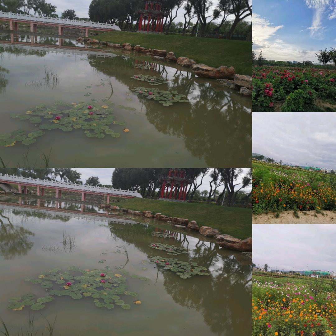 &沉默