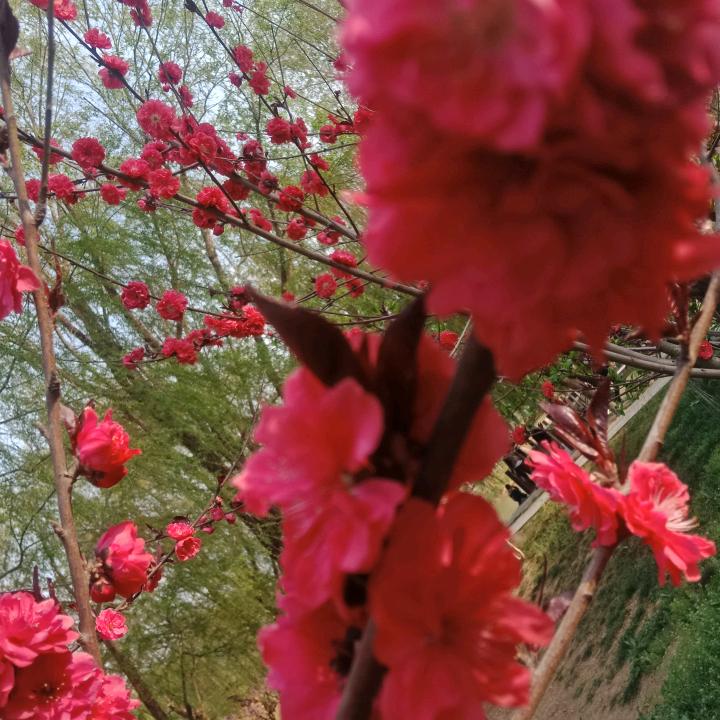 萧傲江湖