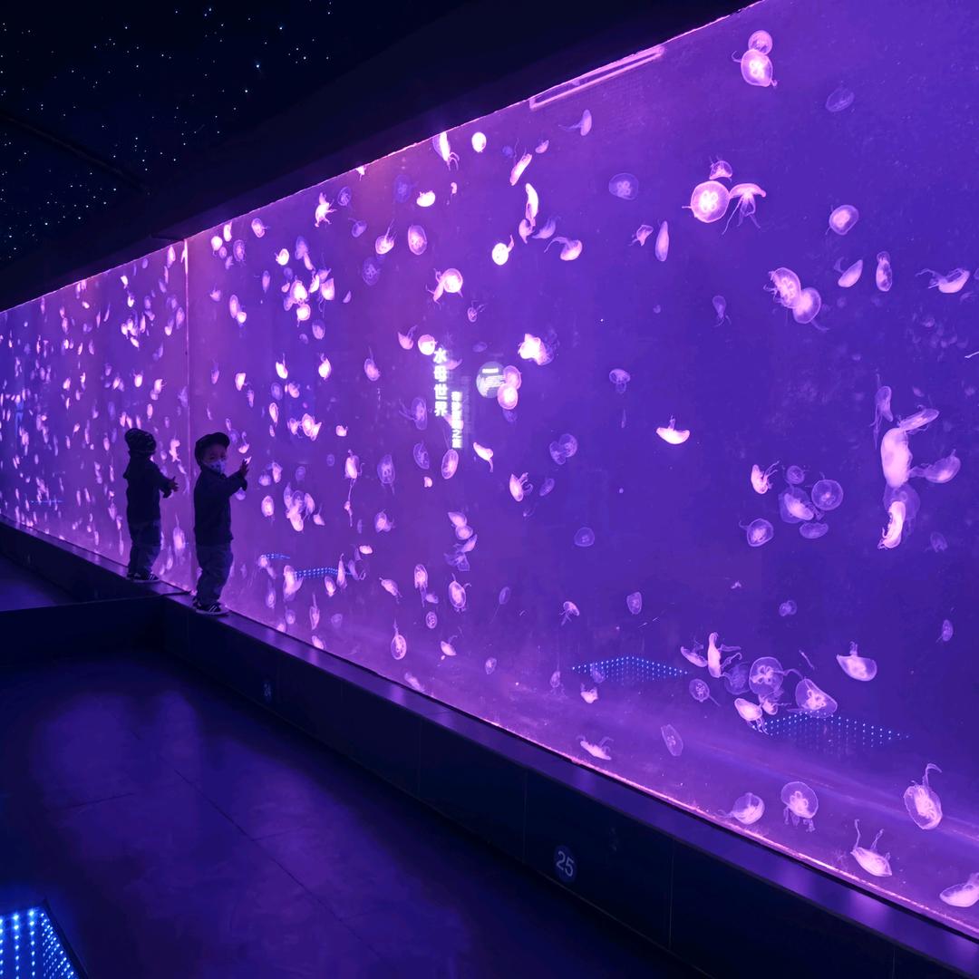 Haier冰箱南京苏宁新街口店