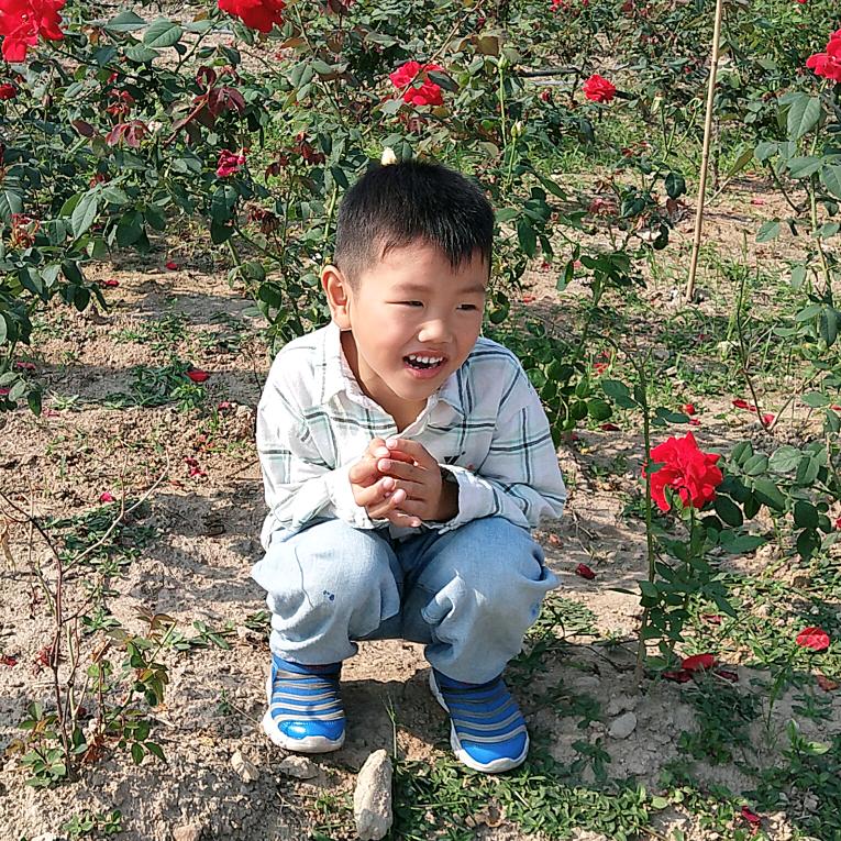 彤彤肉饼