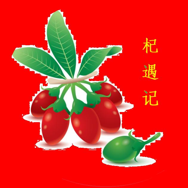 杞遇记宁夏特产